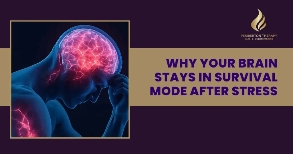 Why Your Brain Stays in Survival Mode After Stress
